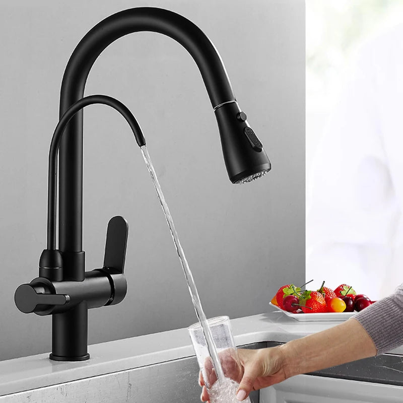 Matte Black Pure Water Kitchen Faucet Dual Handle Hot and Cold