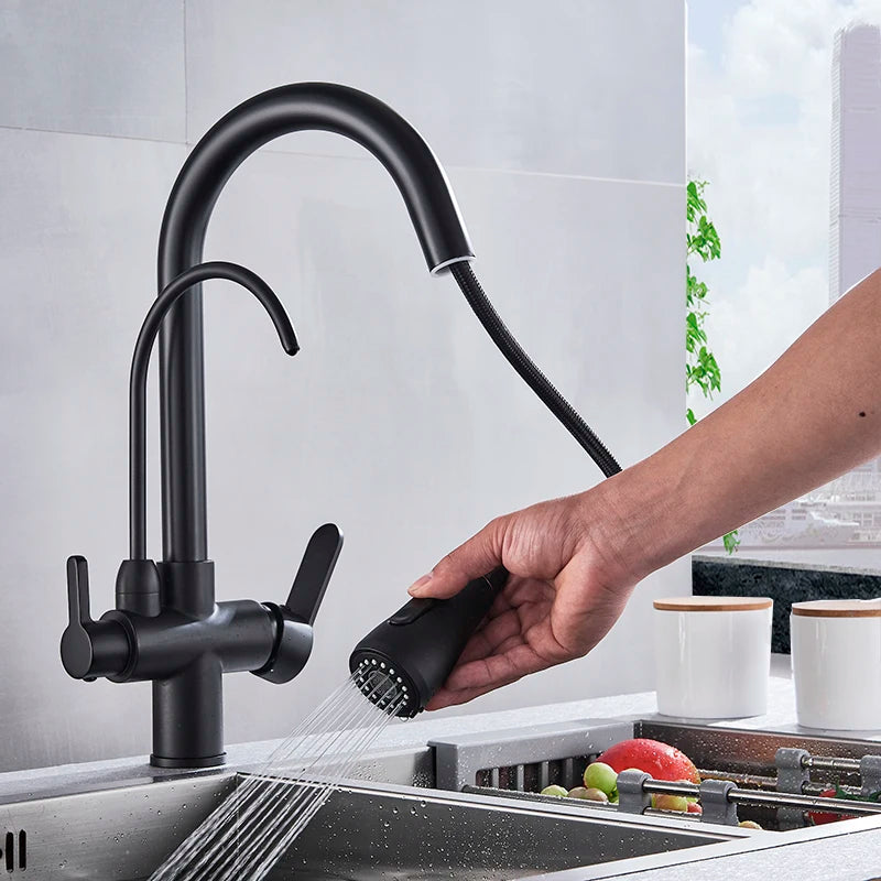 Matte Black Pure Water Kitchen Faucet Dual Handle Hot and Cold
