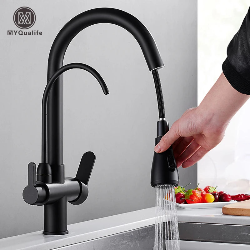 Matte Black Pure Water Kitchen Faucet Dual Handle Hot and Cold