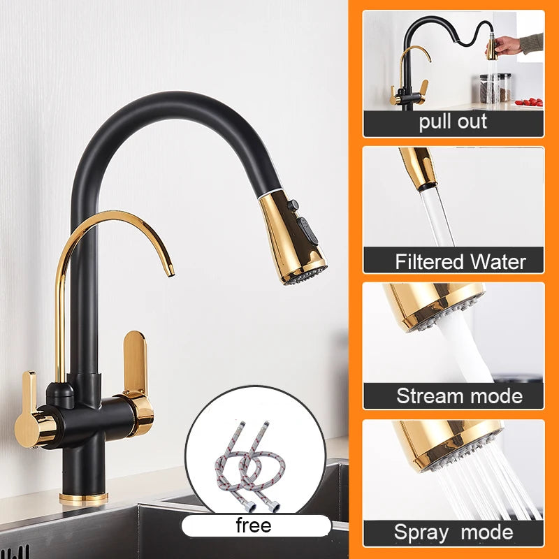 Matte Black Pure Water Kitchen Faucet Dual Handle Hot and Cold