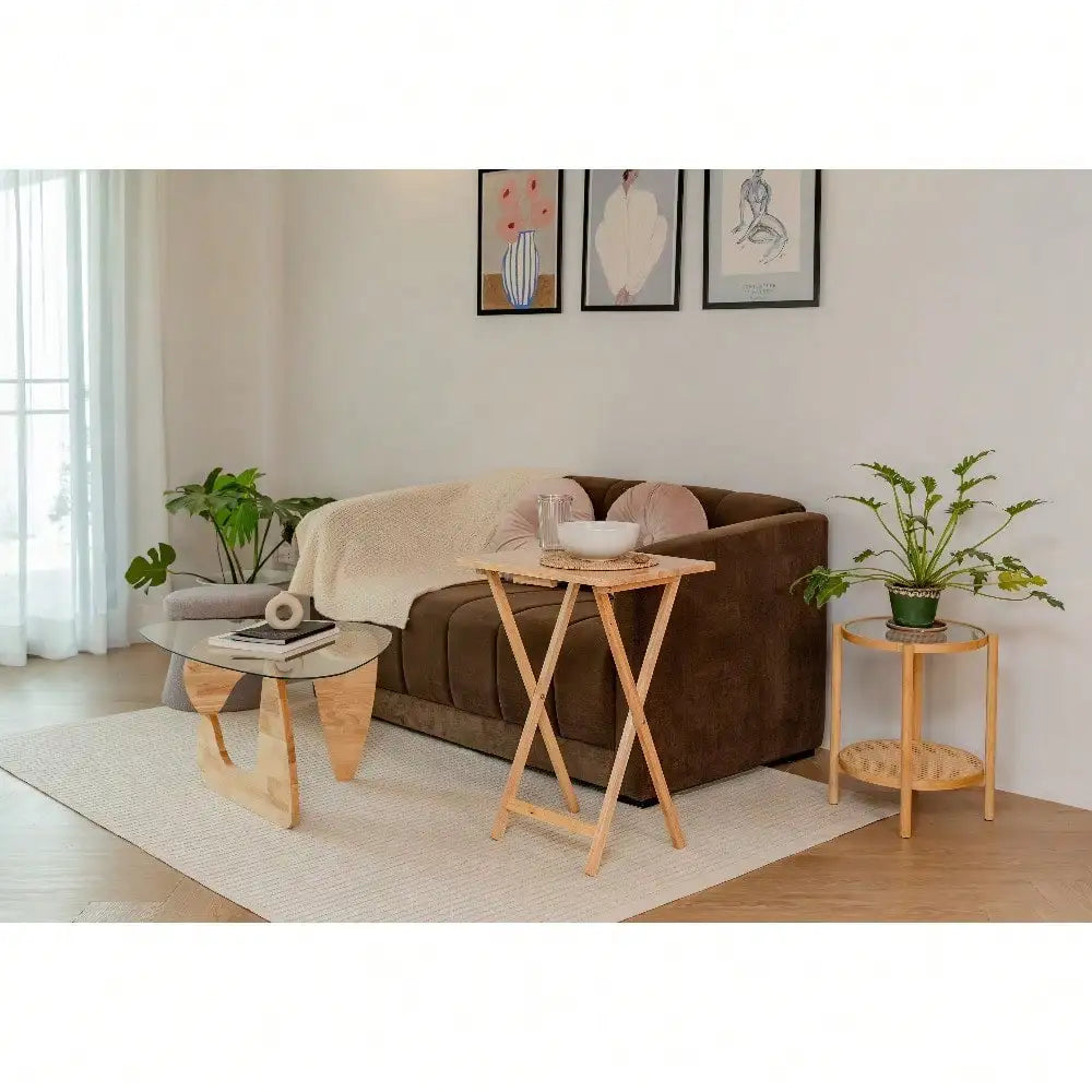 Folding TV Tray Table