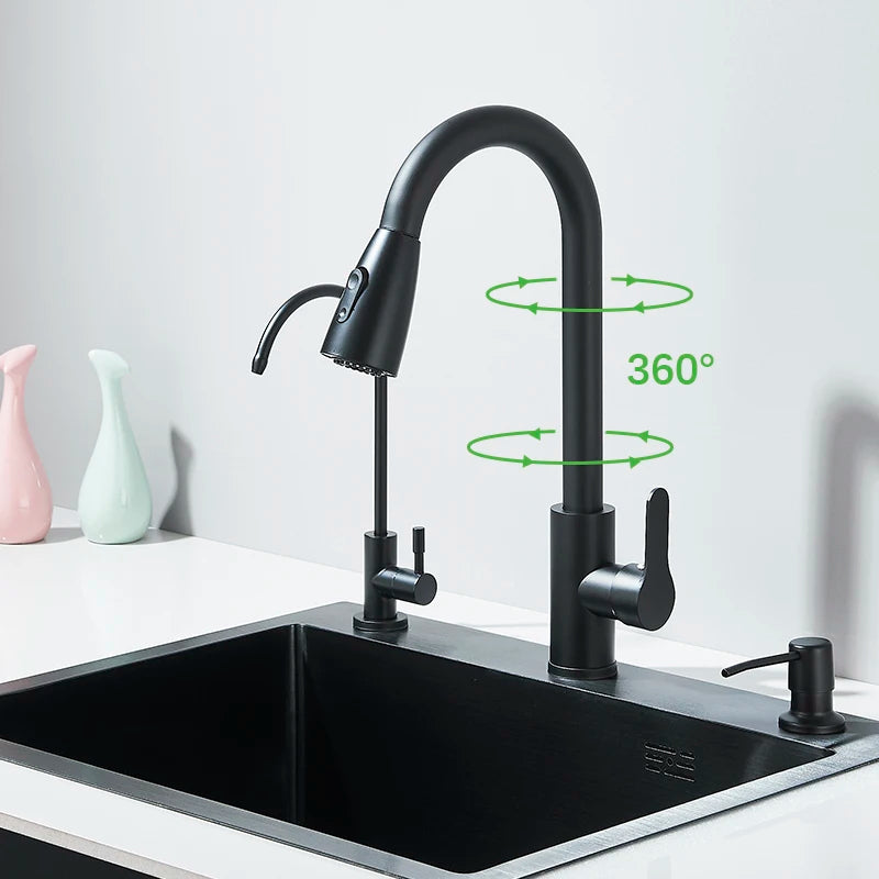 Multifunction 304 Stainless Steel Black/Brushed Nickel Kitchen Sink