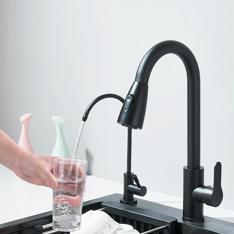 Multifunction 304 Stainless Steel Black/Brushed Nickel Kitchen Sink